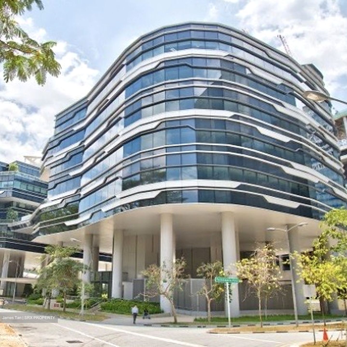 Holland Avenue (Queenstown),  #490983791